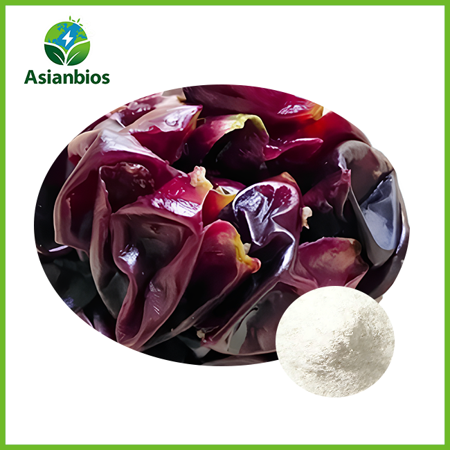 pure resveratrol powder